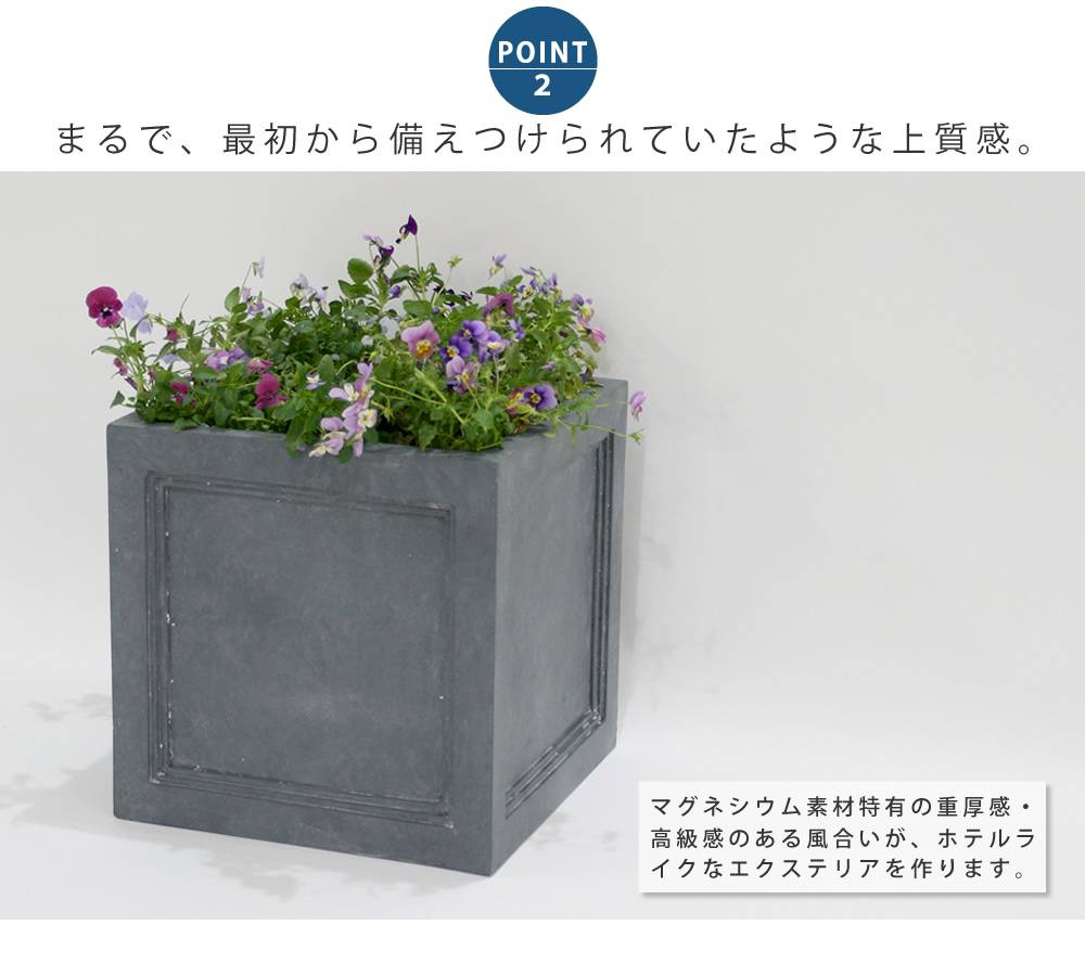 菜園