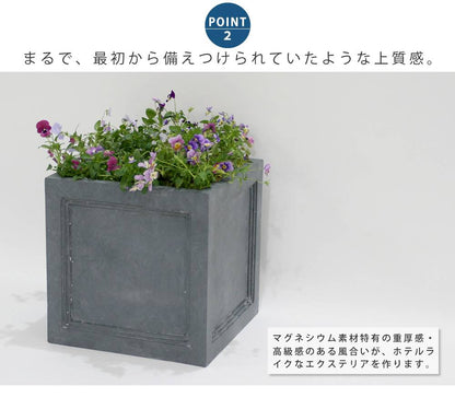 菜園