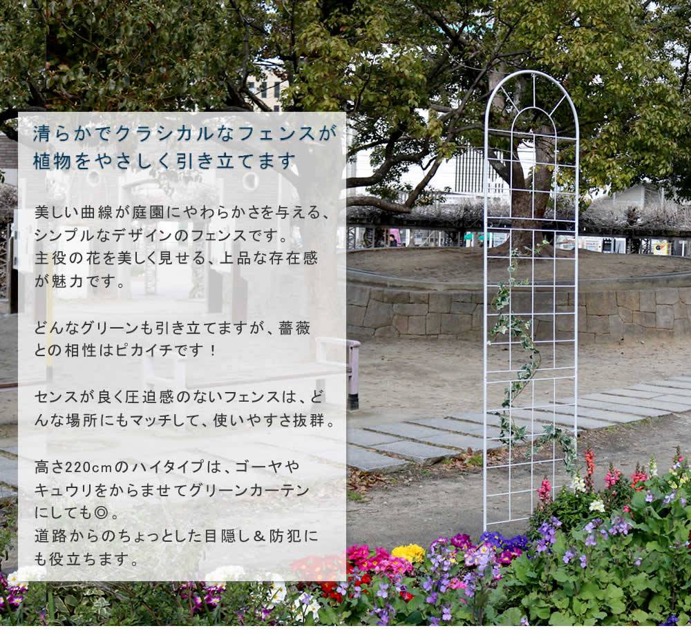 クラシックフェンス220ハイタイプ4枚組【送料無料フェンスアイアンガーデンフェンスガーデニング枠柵仕切り目隠し境目クラシカルアンティークトレリスベランダつる薔薇バラ朝顔園芸ラティスつるバラ庭誘引屋外】